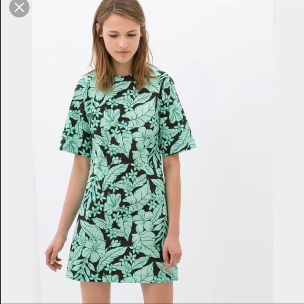 Zara Mint Green and Brown Floral Mini Dress